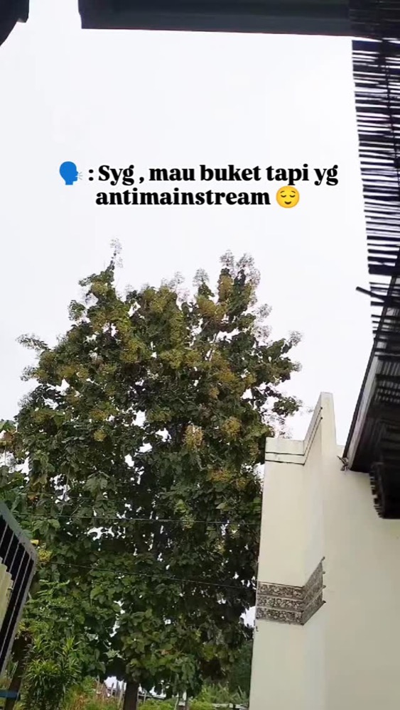 Karya DreamBuket
